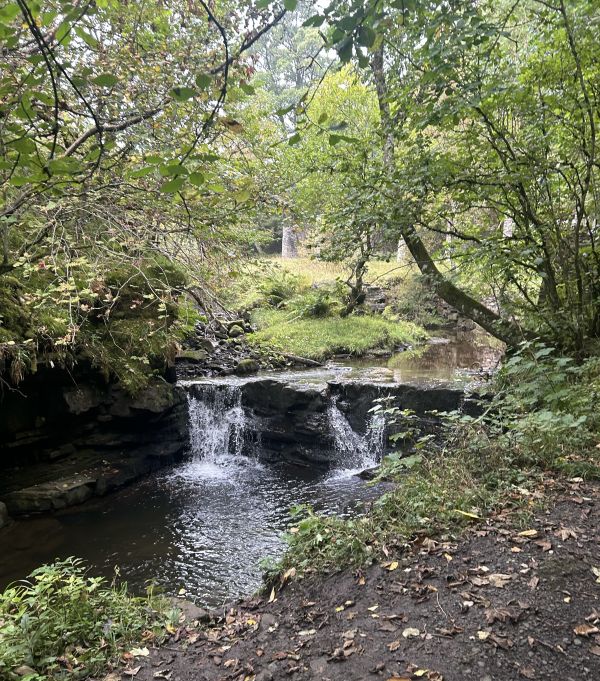 Middlehope Burn